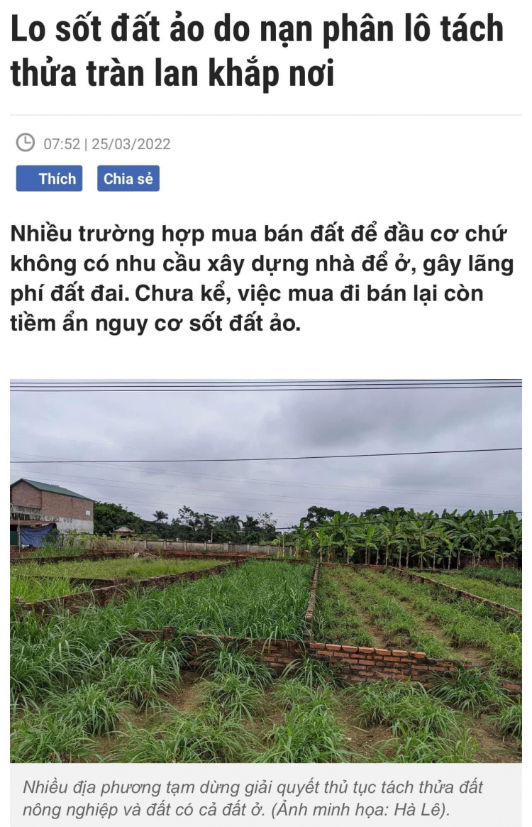 " Đề nghị cấm 'chia lô bán nền' khi sửa luật Đất đai " " Đề nghị cấm 'chia lô bán nền' khi sửa luật Đất đai "