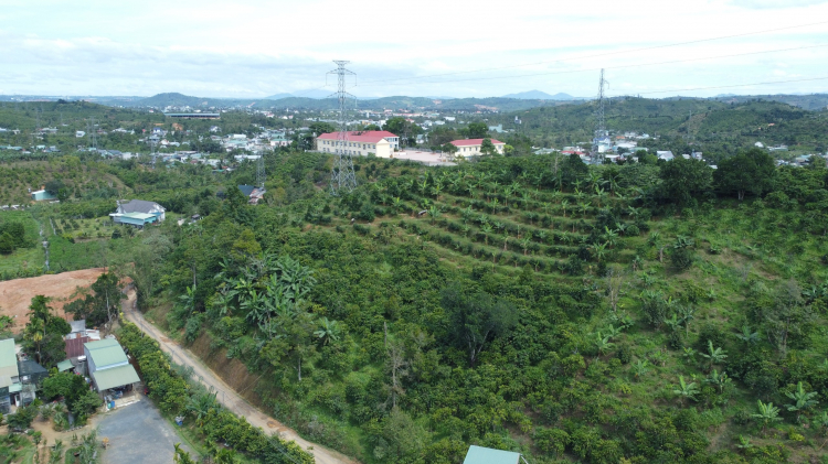 Thông tin xoay quanh BĐS Bảo Lộc.