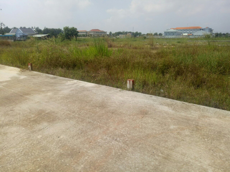 Cần tư vấn mua đất. Cần tư vấn mua đất.