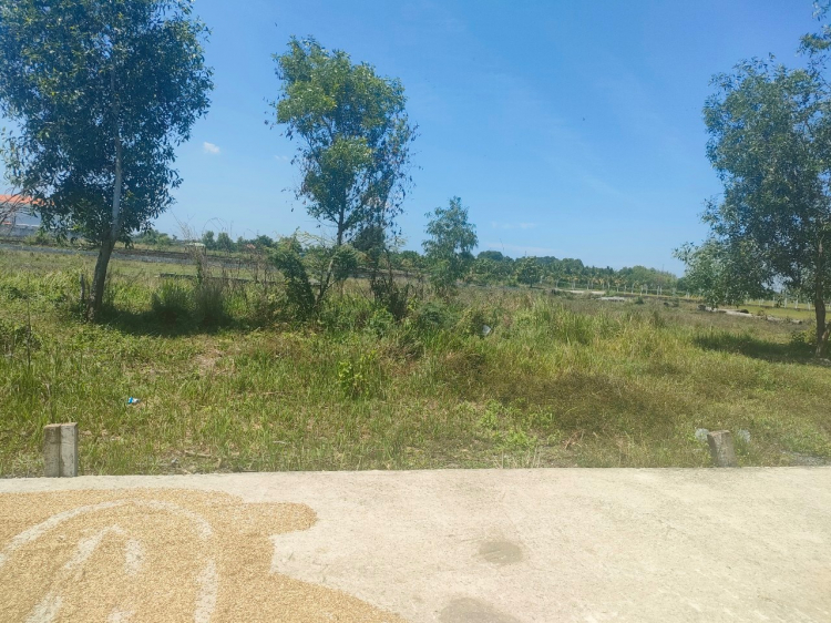 Cần tư vấn mua đất. Cần tư vấn mua đất.