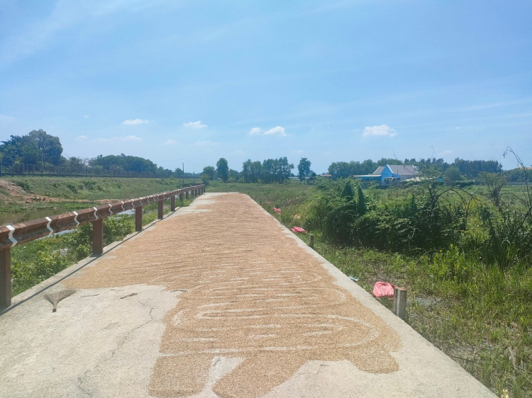 Cần tư vấn mua đất. Cần tư vấn mua đất.