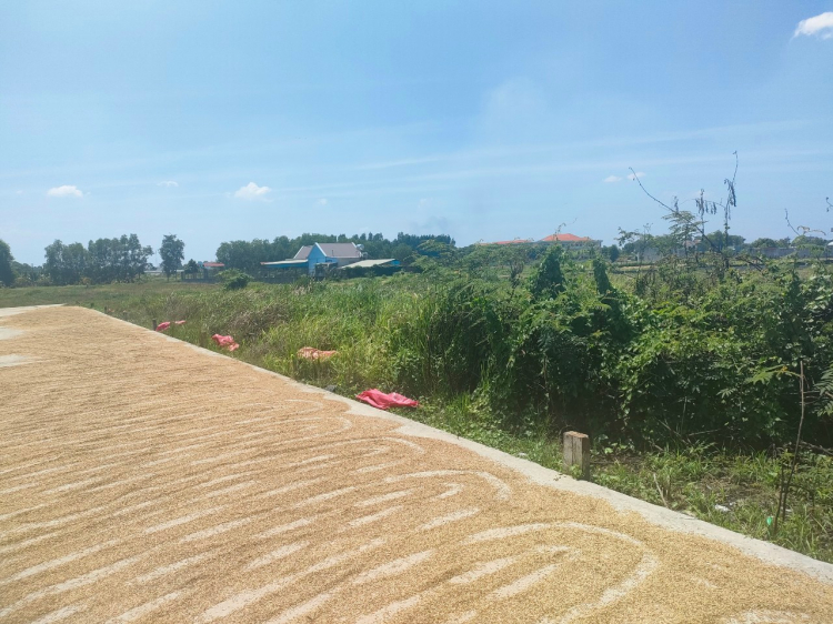 Cần tư vấn mua đất. Cần tư vấn mua đất.