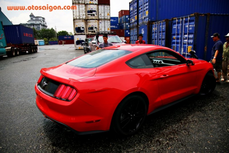 Chi tiết “ngựa hoang” Ford Mustang 2015 xuất chuồng