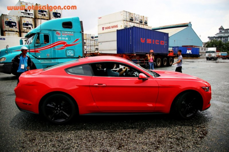 Chi tiết “ngựa hoang” Ford Mustang 2015 xuất chuồng