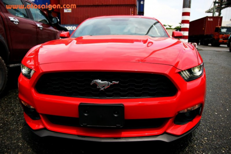 Chi tiết “ngựa hoang” Ford Mustang 2015 xuất chuồng