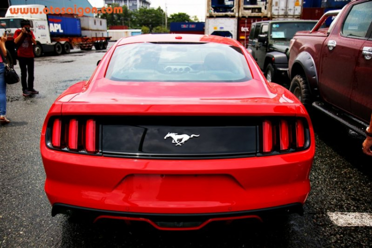 Chi tiết “ngựa hoang” Ford Mustang 2015 xuất chuồng