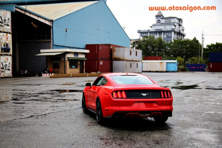 Chi tiết “ngựa hoang” Ford Mustang 2015 xuất chuồng