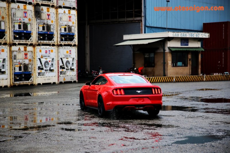 Chi tiết “ngựa hoang” Ford Mustang 2015 xuất chuồng