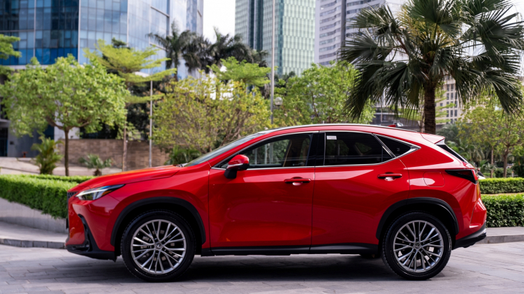 otosaigon.com-lexus-nx-350h-6.jpg