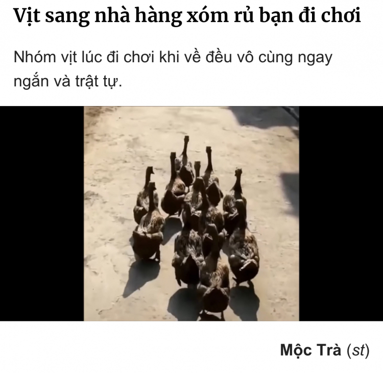 Ám ảnh kẹt xe do nút thắt cổ chai ở các cây cầu trên QL1 qua tỉnh Tiền Giang