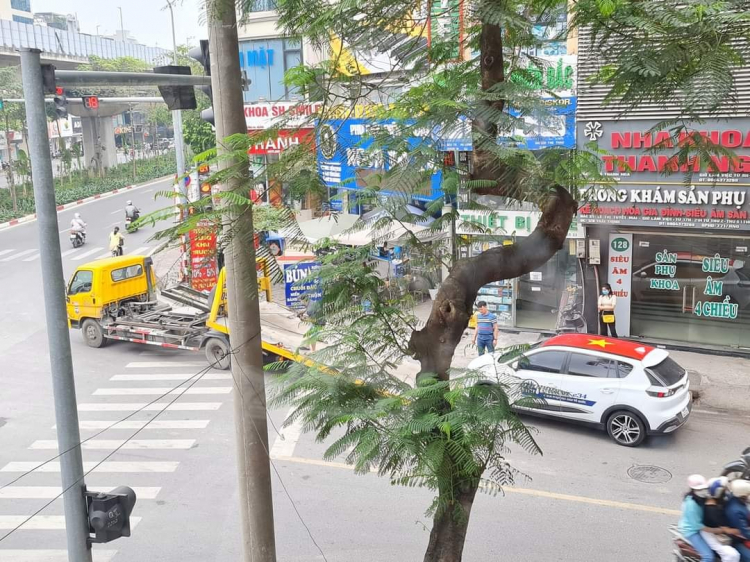100 xe ô tô điện VinFast VF e34 cùng chinh phục địa đầu Tổ Quốc 100 xe ô tô điện VinFast VF e34 cùng chinh phục địa đầu Tổ Quốc