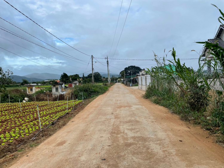 Thông tin xoay quanh BĐS Bảo Lộc.