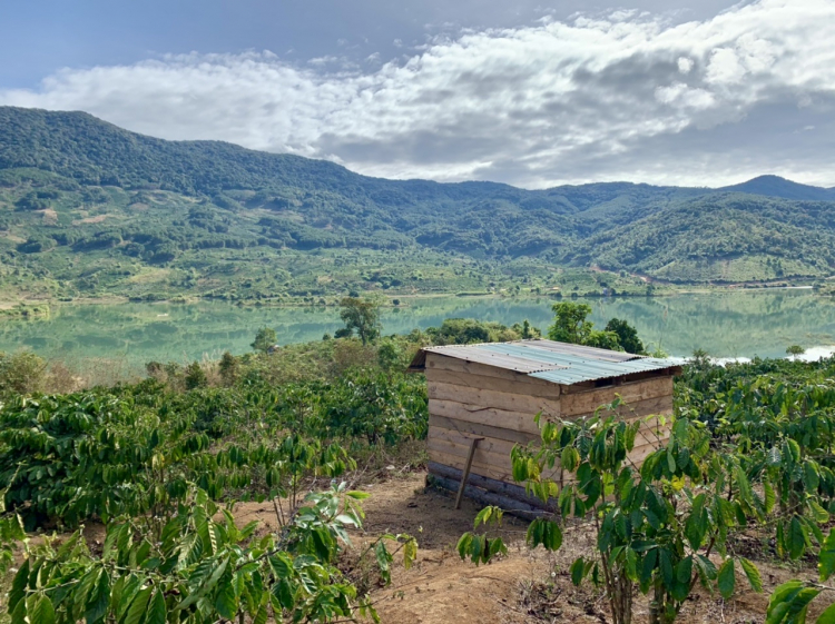 Thông tin xoay quanh BĐS Bảo Lộc.