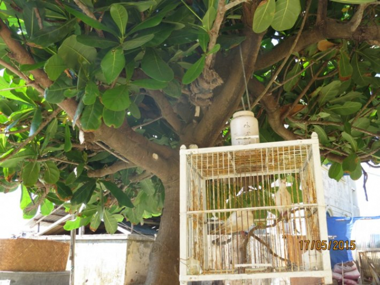 Đến với Trường Sa - sau 27 năm Đến với Trường Sa - sau 27 năm