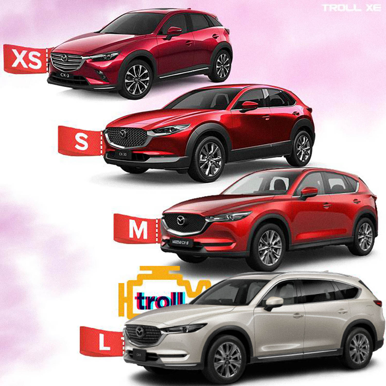 Bao giờ Toyota Corolla Cross bản như MỸ/TQ có ở Việt Nam?