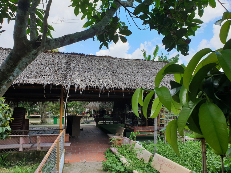 TVH's pic - KDL Lung Cot Cau, Can Tho - 070720 (10).jpg TVH's pic - KDL Lung Cot Cau, Can Tho - 070720 (10).jpg