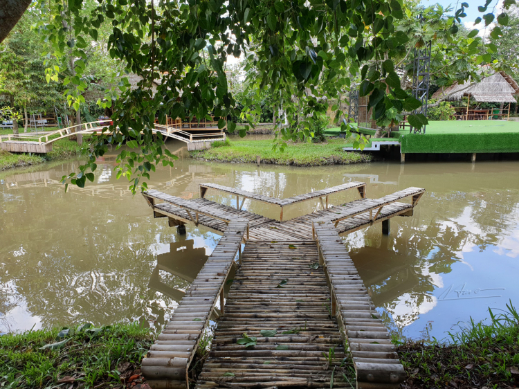 TVH's pic - KDL Lung Cot Cau, Can Tho - 070720 (14).jpg TVH's pic - KDL Lung Cot Cau, Can Tho - 070720 (14).jpg