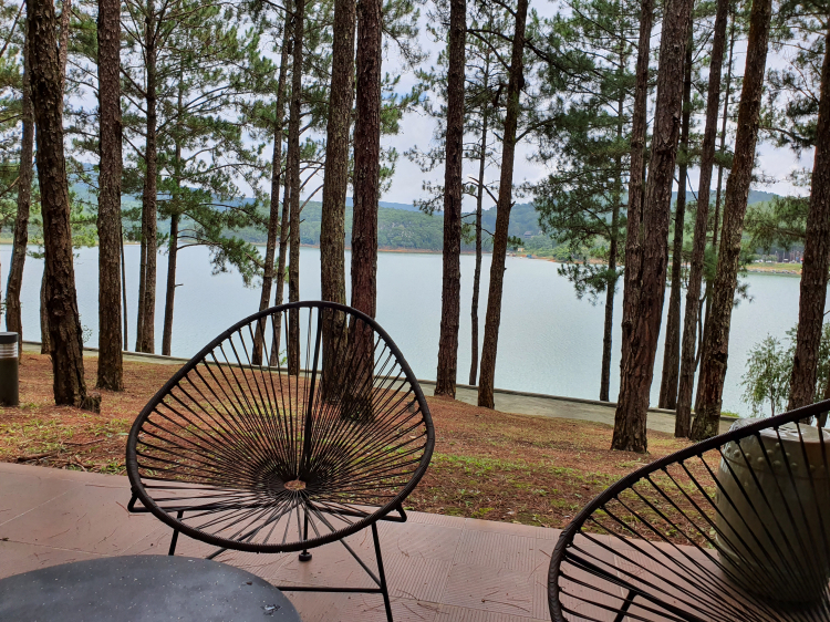 Tổng hợp các thớt về DALAT từ A đến Z Tổng hợp các thớt về DALAT từ A đến Z