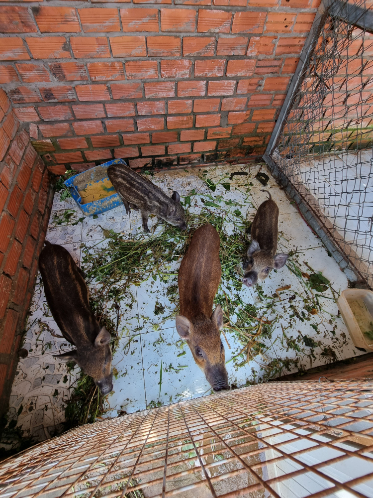 Củ Chi sắp lên quận, có nên gom hàng tại thời điểm này? Củ Chi sắp lên quận, có nên gom hàng tại thời điểm này?