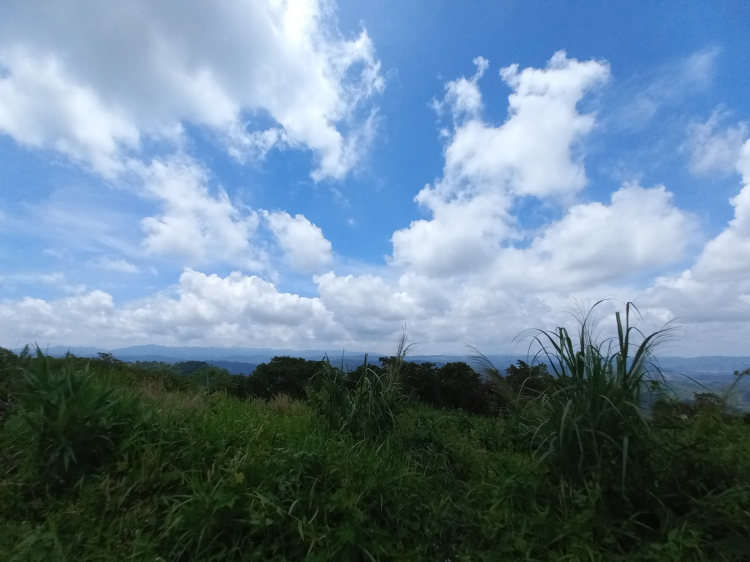 Tổng hợp các thớt về DALAT từ A đến Z Tổng hợp các thớt về DALAT từ A đến Z