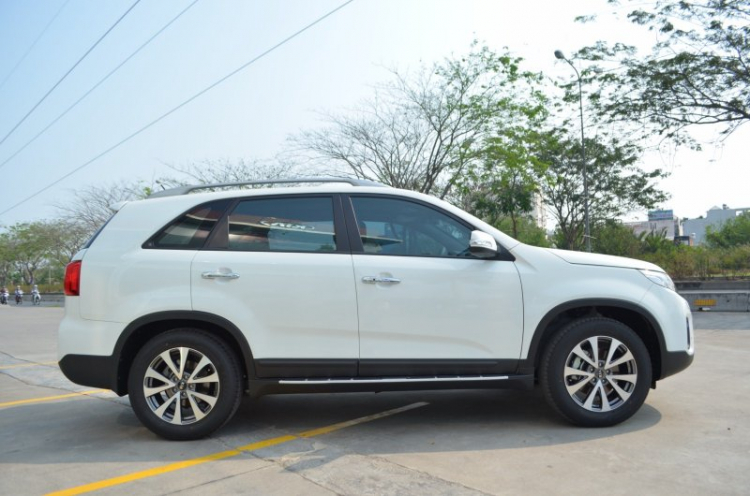 Tư vấn xe new Sorento!