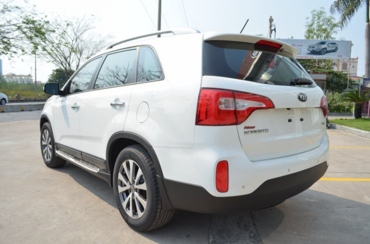 Tư vấn xe new Sorento!