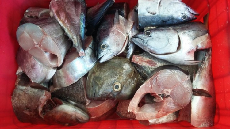 Đến với Trường Sa - sau 27 năm Đến với Trường Sa - sau 27 năm