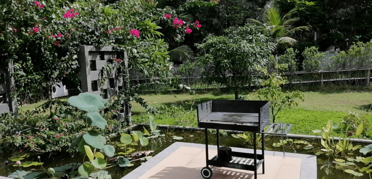 Jolie - Trên những nẻo đường Jolie - Trên những nẻo đường