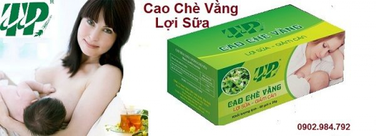 Bài thuốc hay từ cao chè vằng