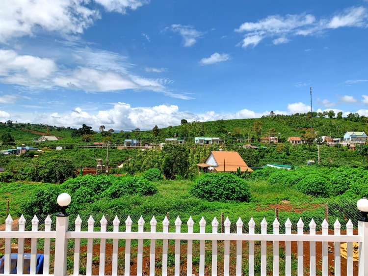 Đà Lạt ngày trở lại