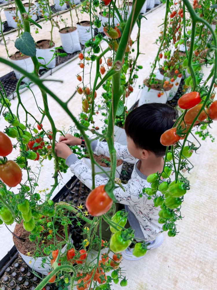 Đà Lạt ngày trở lại