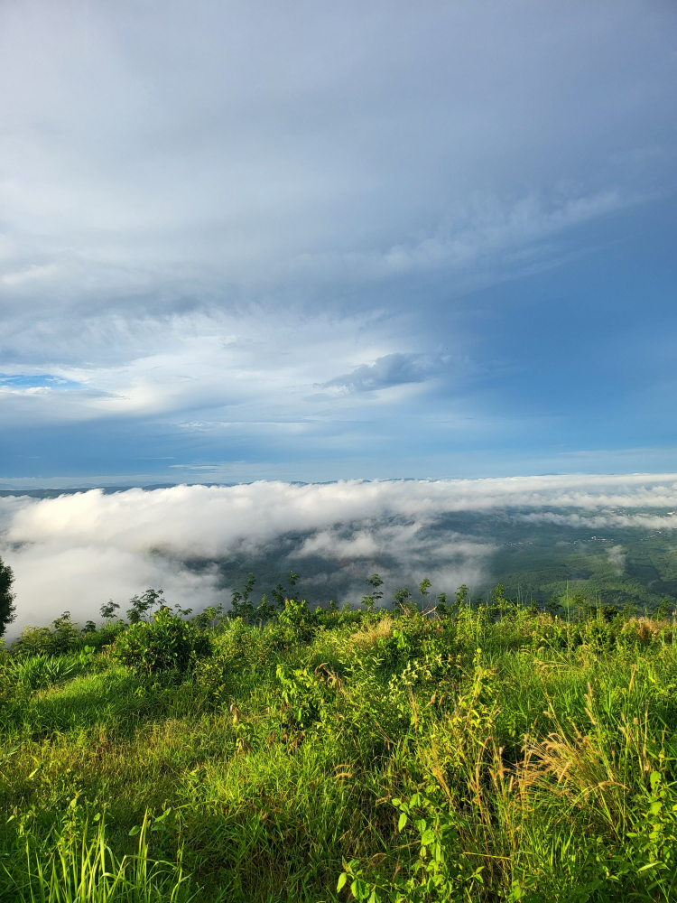 Đà Lạt ngày trở lại