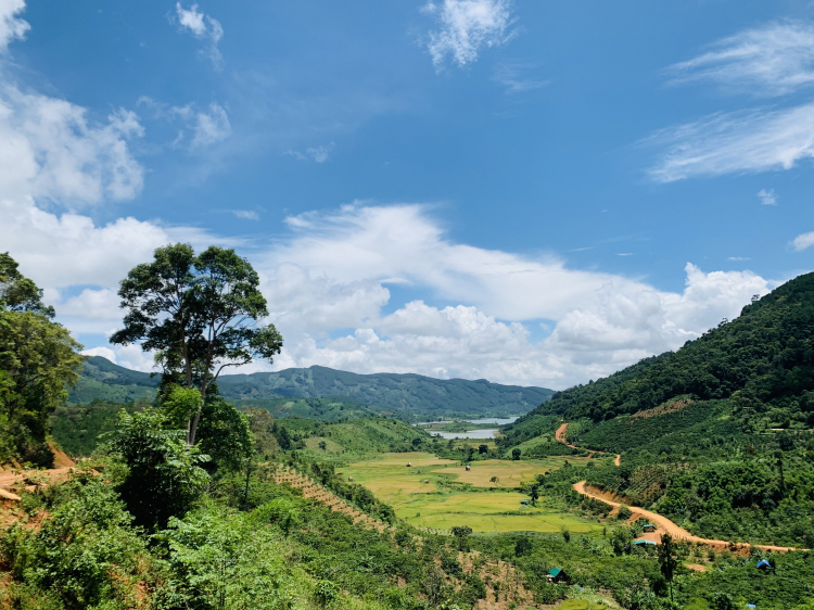 Thông tin xoay quanh BĐS Bảo Lộc.