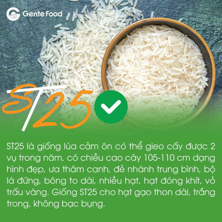 Gạo ST25 Thượng Gente Food Hạng 100% chuẩn ST25 freeship túi 2kg 80,000đ