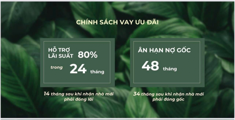 VINHOMES GRAND PARK QUẬN 9 LÀ CÁI “BẪY GẤU” CHO NHỮNG KHÁCH YÊU MÀU HỒNG!