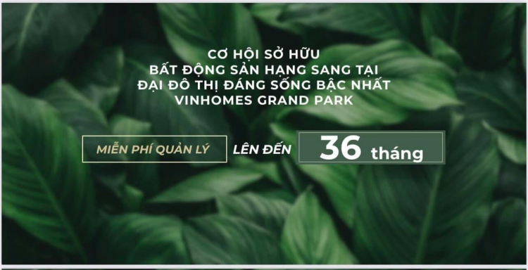 VINHOMES GRAND PARK QUẬN 9 LÀ CÁI “BẪY GẤU” CHO NHỮNG KHÁCH YÊU MÀU HỒNG!