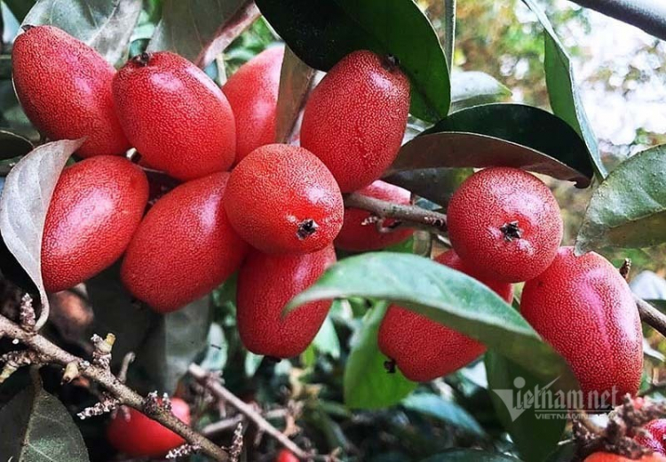 Bộ trưởng GTVT đề xuất xe chở quá tải 10% phạt nặng, 20% tịch thu xe Bộ trưởng GTVT đề xuất xe chở quá tải 10% phạt nặng, 20% tịch thu xe