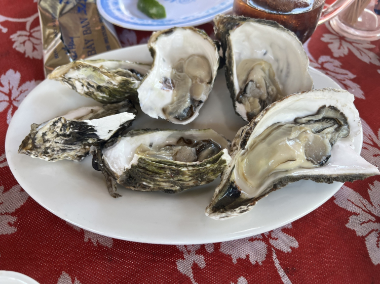 A2930030-EB65-4C00-98FA-33179D58D858.jpeg A2930030-EB65-4C00-98FA-33179D58D858.jpeg