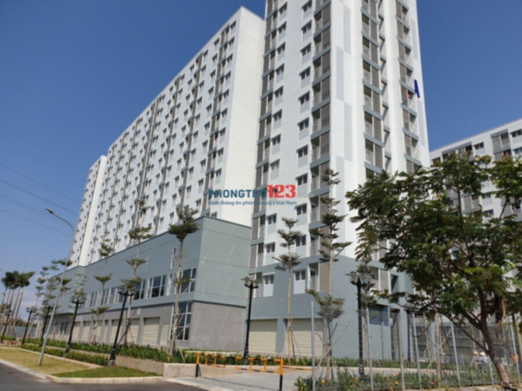 VINHOMES GRAND PARK QUẬN 9 LÀ CÁI “BẪY GẤU” CHO NHỮNG KHÁCH YÊU MÀU HỒNG!