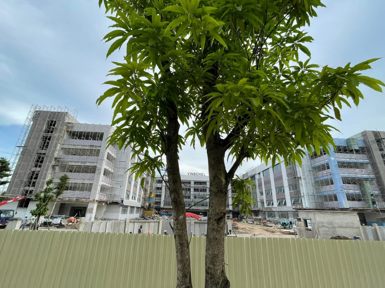 VINHOMES GRAND PARK QUẬN 9 LÀ CÁI “BẪY GẤU” CHO NHỮNG KHÁCH YÊU MÀU HỒNG! VINHOMES GRAND PARK QUẬN 9 LÀ CÁI “BẪY GẤU” CHO NHỮNG KHÁCH YÊU MÀU HỒNG!