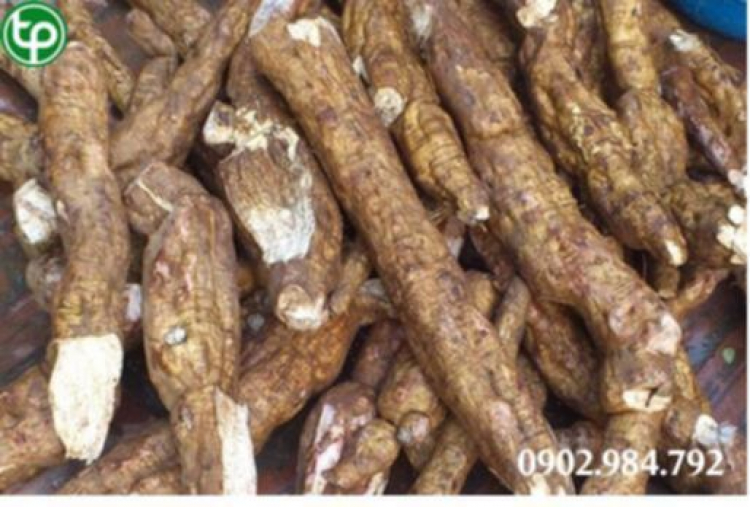Dùng bột sắn đúng cách mang lại sự thanh mát cơ thể Dùng bột sắn đúng cách mang lại sự thanh mát cơ thể