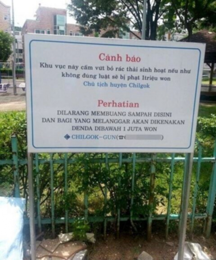 VF: ép lúa non hả mấy anh? VF: ép lúa non hả mấy anh?
