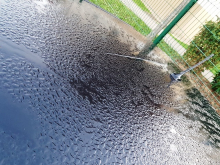 Ô tô bị barie trạm thu phí cao tốc Hà Nội – Hải Phòng đập vỡ kính: Đơn vị khai thác lên tiếng lý giải Ô tô bị barie trạm thu phí cao tốc Hà Nội – Hải Phòng đập vỡ kính: Đơn vị khai thác lên tiếng lý giải
