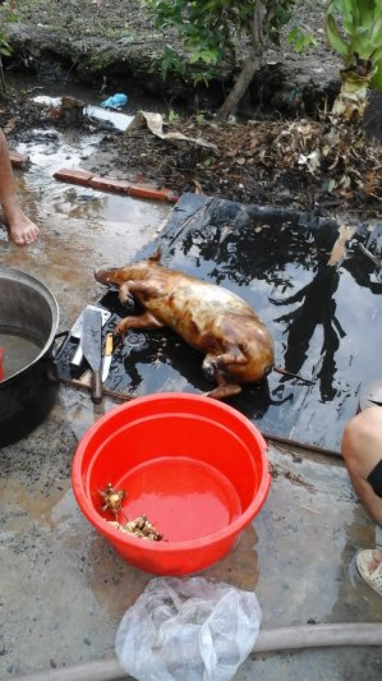 Đây là lý do nên chọn xe Hàn Đây là lý do nên chọn xe Hàn