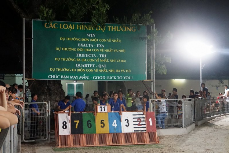 OFFline Vũng Tàu ngày 6-7/6 mừng TFC Futsal đoạt hạng nhì OS C1! (Update trang 1)