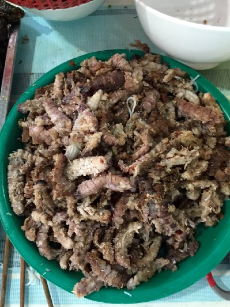 Xuyên Việt 31 ngày- Hè 2015 Xuyên Việt 31 ngày- Hè 2015