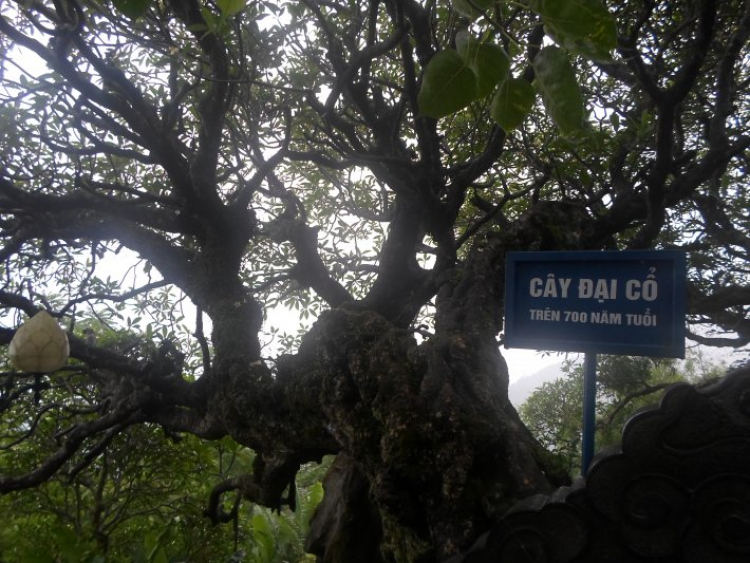 Xuyên Việt Hè 2015 Xuyên Việt Hè 2015