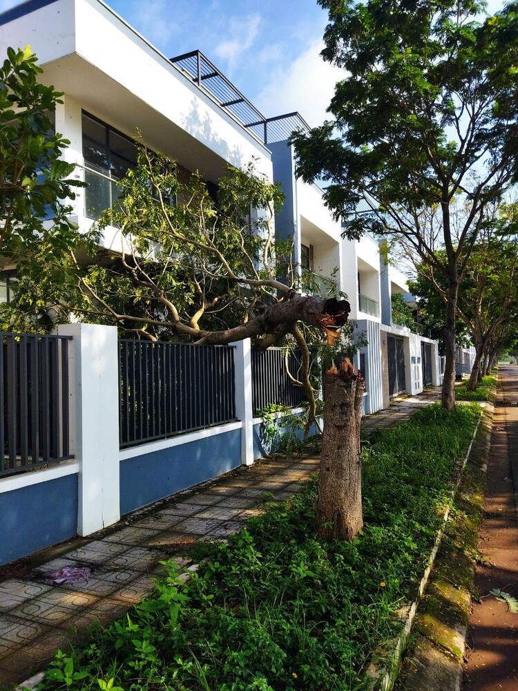 Review chi tiết dự án Đông Tăng Long tại quận 9 Review chi tiết dự án Đông Tăng Long tại quận 9