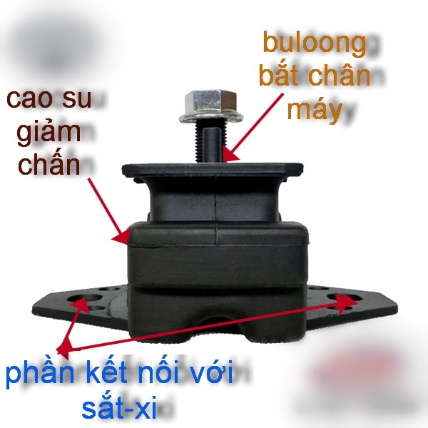 CAO SU CHAN MAY.jpg CAO SU CHAN MAY.jpg