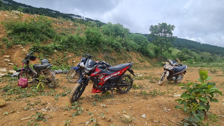 Honda hết cửa ngáo giá rùi Honda hết cửa ngáo giá rùi